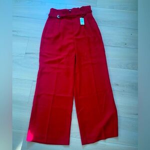 Express women’s wide leg pant